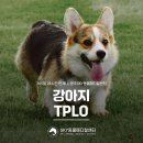 일곡동물병원 이미지