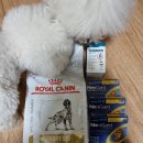 화원연합동물병원 이미지