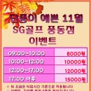 SG애니스크린골프