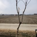 닛시농장 이미지