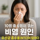 NTC | ​10명 중 6명이 겪는 비염 원인, 유산균 흡수율(NTC)이 답이다