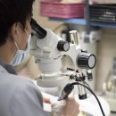 위드치과기공소 이미지