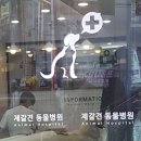 제갈견 동물병원 이미지
