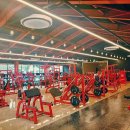 레드플렉스 짐 이미지