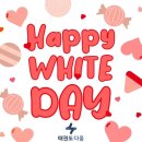 다움태권도장 이미지