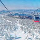 엘리시안 강촌 스키장 이미지