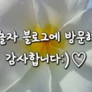 주식회사 파인솔루션 이미지