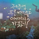 서귀포도립해양공원 | 제주 서귀포잠수함 후기 | 가격·예약·주차 총정리 내돈내산
