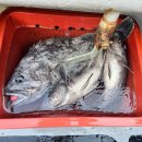 세븐일레븐군산뉴비응항점 | 군산 비응항 숙소 새만금펜션(205호) 다녀온 후기