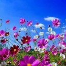 설램 - 평택시 고덕중앙로 200-20 | 설램