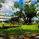 보성강8 이미지