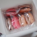 메종드루즈