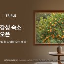제주감성 이미지