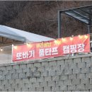 또바기캠핑장 | 애견과 함께하는 가평오토캠핑, 또바기애견동반 캠핑장의 매력 속으로!