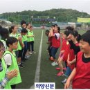 효촌초 이미지