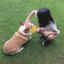 고고농장2 이미지