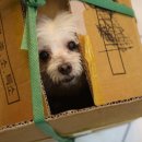 감자동물병원 이미지