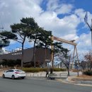 초정식당 | 🌊 거제도 물회 맛집, 초정명가 다녀온 솔직 후기