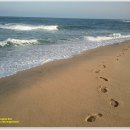 바우길 12구간 이미지