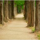 자동차가 행복한집 이미지