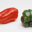 피망 이미지