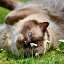 바램이머무는곳 이미지