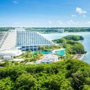 로얄룸클럽 이미지