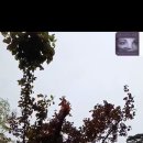 나무와사람들 이미지