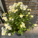 창생동물병원 이미지