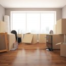 희망이 움트집 이미지