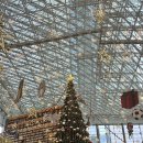 장동규 | 2025 12월 금요일 서일페V20 다녀온 후기