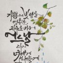 캘리그라피 Daum카페