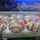 믿음수산 이미지