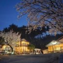 위드유 펜션 이미지