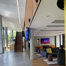 호주 시드니 채스우드 이글루 기숙사 Chatswood iglu 후기
