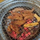 초원갈매기 이미지