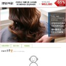 금곡동 161번지 이미지