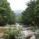 월성계곡 화장실 이미지