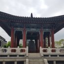 티씨지트레이서즈