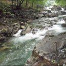 이재옥농장 이미지