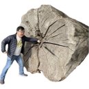 라구다이닝 | 컬리 리뷰) 콜린스다이닝 라구파스타 후기