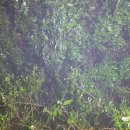 웅남동 창곡삼거리 이미지