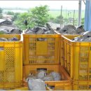 가재골농장 이미지