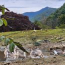 용추자연휴양림야영장 이미지