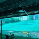 청호스크린골프 이미지