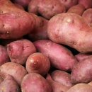 제이와이푸드 이미지