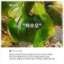 화산영농조합법인 이미지