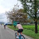 무주읍250 | 무주 메디오 폰도 다녀왔습니다.