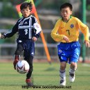 백석인조잔디구장 이미지