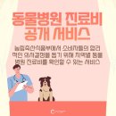 맘동물병원 이미지